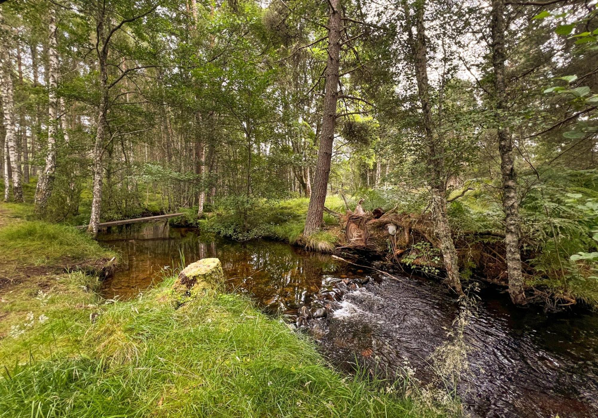 Cairngorm Lodge Rothiemurchus Aviemore Εξωτερικό φωτογραφία